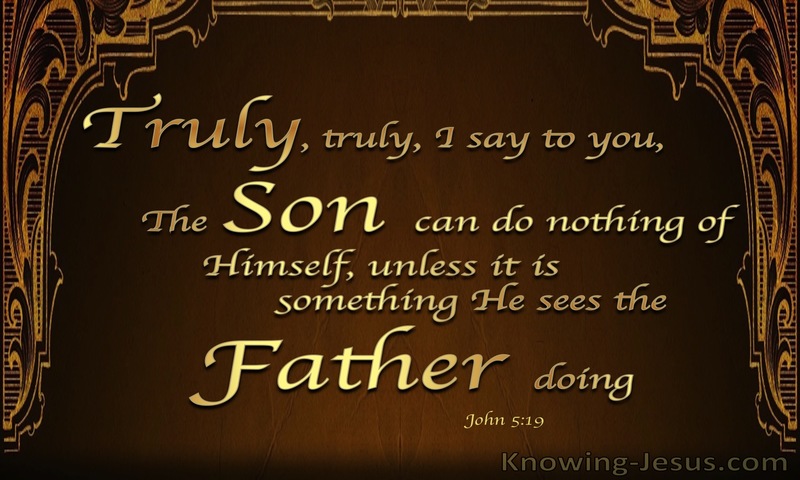 John 5:19 The Son Can Do Nothing Of Himself (brown)